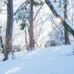 iPadAir第5・6世代10.9インチの冬の壁紙