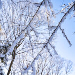 iPadAir第5・6世代10.9インチの冬の壁紙