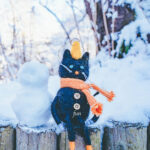 iPadAir第5・6世代10.9インチの冬の壁紙