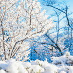 iPadAir第5・6世代10.9インチの冬の壁紙