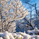 iPadAir第5・6世代10.9インチの冬の壁紙