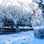 iPadAir第5・6世代10.9インチの冬の壁紙