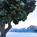 iPadAir第5・6世代10.9インチの冬の壁紙