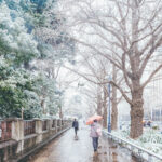 iPadAir第5・6世代10.9インチの冬の壁紙