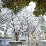 iPadAir第5・6世代10.9インチの冬の壁紙