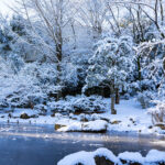 iPadAir第5・6世代10.9インチの冬の壁紙