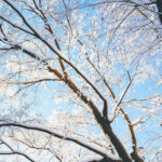 iPadAir第5・6世代10.9インチの冬の壁紙