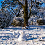 iPadAir第5・6世代10.9インチの冬の壁紙