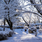 iPadPro12.9インチのロック画面等の冬の壁紙