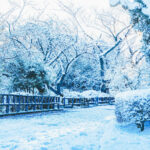 iPadPro12.9インチのロック画面等の冬の壁紙