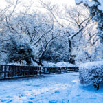 iPadPro12.9インチのロック画面等の冬の壁紙