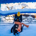 iPadPro12.9インチのロック画面等の冬の壁紙