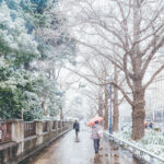 iPadPro12.9インチのロック画面等の冬の壁紙