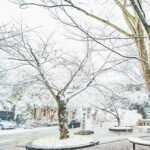 iPadPro12.9インチのロック画面等の冬の壁紙