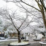 iPadPro12.9インチのロック画面等の冬の壁紙