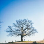 iPadPro12.9インチのロック画面等の冬の壁紙