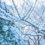 iPadPro12.9インチのロック画面等の冬の壁紙