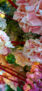iPhone13Mini・12miniのロック画面等の花の壁紙