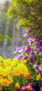iPhone14・13・13Pro・12・12Proの花の壁紙