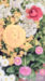 LINEプロフィール背景用の花の画像