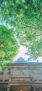 iPhone13Mini・12Miniの春の街の風景壁紙