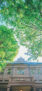 iPhone14ProMaxのロック画面等の春の街の風景壁紙