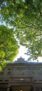 iPhone13Mini・12Miniの春の街の風景壁紙
