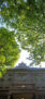 iPhone14・13・13Pro・12・12Proの春の街の風景壁紙