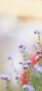 iPhone14Proのロック画面等の春の花の壁紙