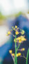 iPhone14ProMaxのロック画面等の春の風景壁紙