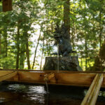 iPhone15・iPhone15Pro・iPhone14Proのロック画面等の春の風景写真壁紙を配信中