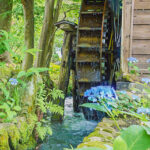 iPhone13Mini・12Miniのロック画面等の初夏の風景壁紙を配信中