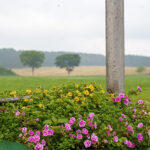 iPhone15・iPhone15Pro・iPhone14Proのロック画面等の初夏の風景壁紙を配信中