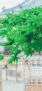 iPhone13Mini・12Miniのロック画面等の夏の風景壁紙