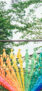 iPhone14Proのロック画面等の夏の風景壁紙