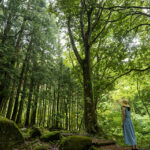 iPhone13Mini・12Miniのロック画面等の夏の風景壁紙を配信中