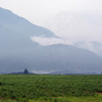 iPhone15Plus・iPhone15・14ProMaxの夏の風景壁紙を配信中