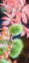 iPhone14・13・13Pro・12・12Proの秋の花の壁紙
