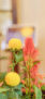 iPhone14Proのロック画面等の秋の花の壁紙