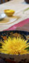 iPhone14Proのロック画面等の秋の花の壁紙
