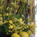 X（エックス）ヘッダー用秋の花の画像を配信中