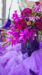 LINEプロフィール背景用秋の花の写真画像
