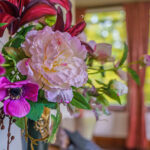 LINEプロフィール背景用秋の花の写真画像を配信中