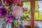 LINEプロフィール背景用秋の花の写真画像を配信中