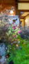 iPhone15Plus・15ProMax・iPhone14ProMaxの秋の花の壁紙