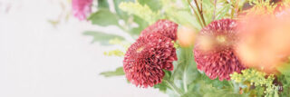 Ｘ(エックス)ヘッダー用の秋の花の写真画像