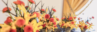 Ｘ(エックス)ヘッダー用の秋の花の写真画像
