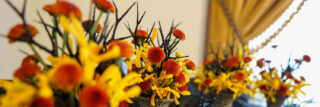 Ｘ(エックス)ヘッダー用の秋の花の写真画像