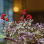 iPhone15Plus・15ProMax・iPhone14ProMaxの秋の花の壁紙を配信中