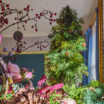 iPhone15Plus・15ProMax・iPhone14ProMaxのクリスマスの壁紙が取り放題